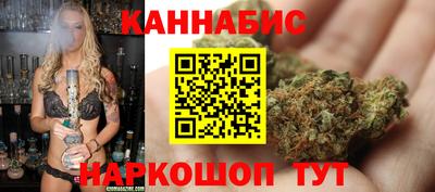 хмурый Кингисепп