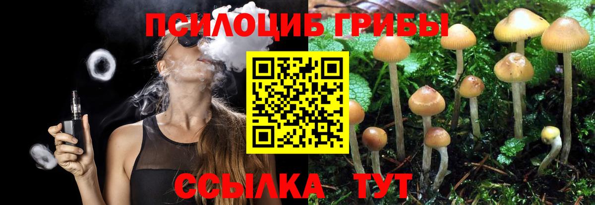 Галлюциногенные грибы мухоморы Краснокаменск